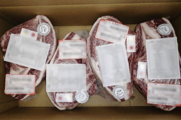 サンプルイメージ