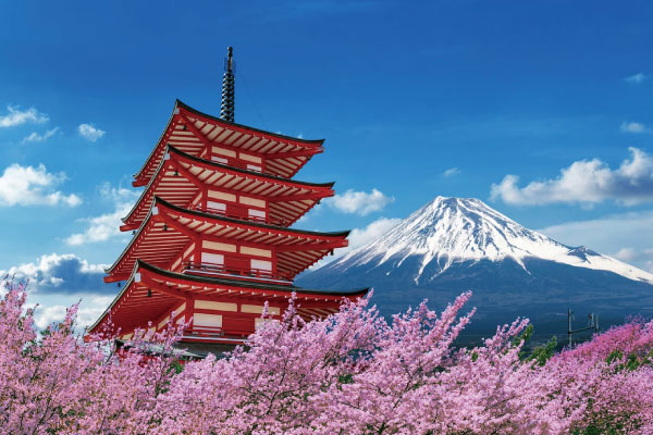 サンプルイメージ